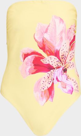 Milly Songe D & apos;Iris Strapless One-Piece Swimsuit