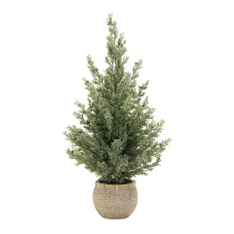 Melrose International Potted Mini Pine Tree (Set of 2) - Green