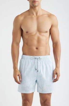 Vintage Summer Swimwear Print Stretch Volley Shorts in Aqua at Nordstrom, Size Xx-Large