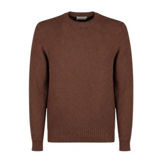 Circolo 1901 Uomo, Maglie, Marrone, L, new