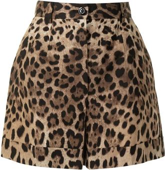 Dolce & Gabbana Leopard-Print Poplin Shorts