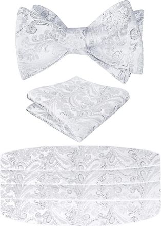 Alizeal Mens Classic Paisley Self-tied Adjustable Bow Tie, Cummerbund and Pocket Square Set, Shiny Silver