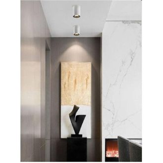 Trade Shop Trade Shop Traesio - Trade Shop - Faretto Plafoniera Soffitto 20w Applique Cilindro Led Cob Vari Toni Luce F20w-5b