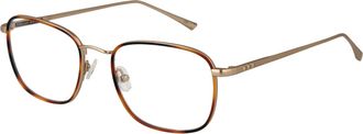 Taylor Morris Brilrand SW8 C4 51