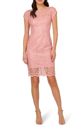 Adrianna Papell Lace Sheath Dress in Blush at Nordstrom, Size 14