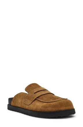 Steve Madden Toryn Loafer Mule in Chestnut Suede at Nordstrom, Size 7.5