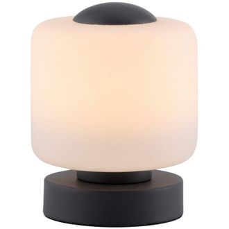 Paul Neuhaus Paul Neuhaus Bota Lámpara de mesa LED integrada antracita 1x 5W LED 3000K regulable