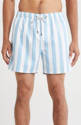 Vintage Summer Swimwear Volley Swim Trunks in Light Blue at Nordstrom Rack, Size Xx-Large