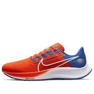 Nike Air Zoom Pegasus 38 Florida DJ0826-800