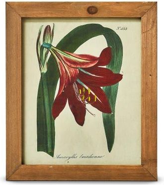 Tag Amaryllis Vintage Wall Art Multicolor Decorative Home Accent in Multicolored at Nordstrom, Size Medium