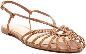 Arezzo Paola Slingback Sandal in Roast Caramel at Nordstrom, Size 9.5
