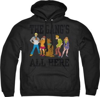 Gildan Scooby Doo The Gang Adult Pull Over Hoodie / Hooded Sweatshirt