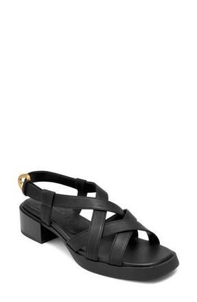 Aerosoles Daily FX Slingback Sandal in Black at Nordstrom Rack, Size 6