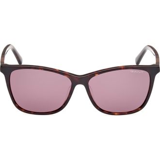GANT Square Sunglasses in Dark Havana /Brown at Nordstrom Rack