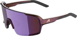 Alpina Lumin - unisex - Fietsaccessoires - Veelkleurig - ONE Size - Fitness