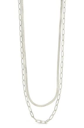 Sterling Forever Brinley Layered Chain Necklace in Silver at Nordstrom Rack