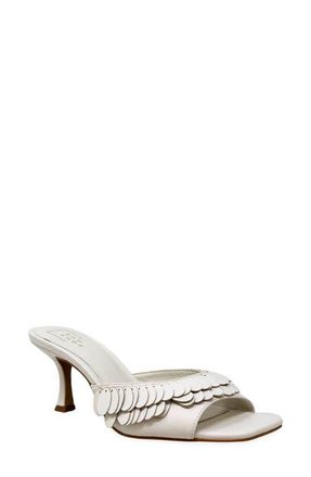 Shushop Grace Slide Sandal in Bone at Nordstrom, Size 6.5