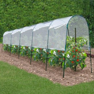 IDMarket Invernadero De Tomates 6 M