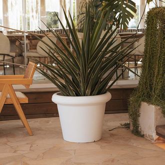 OEM Rosa 55 Macetero Redondo Y R&uacute;stico De Interior Y Exterior Para Plantas Y Flores Muy Resistente Al Paso Del Tiempo. Hecho De Polietileno En Espa&ntilde;a - Bl