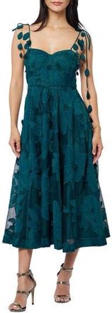 Ciebon Emilia Bustier Lace Midi Cocktail Dress in Forest at Nordstrom Rack, Size X-Small