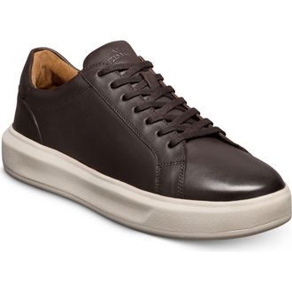 Allen Edmonds Foster Low Top Sneaker in Dark Brown at Nordstrom Rack, Size 11