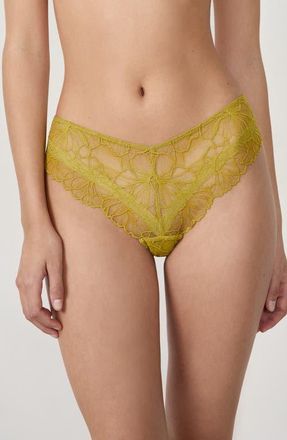 Etam Hedonisme Lace Hipster Panties in Anise at Nordstrom, Size Medium