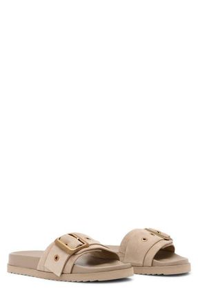 AllSaints Ellie Western Slide Sandal in Sand Brown at Nordstrom, Size 10.5Us