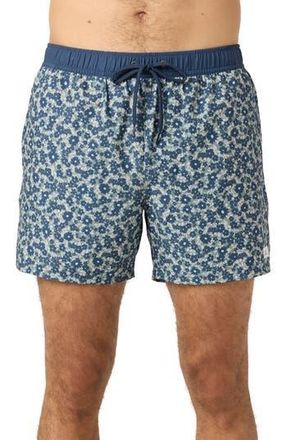 O'Neill Hermosa Volley Swim Trunks in Sage at Nordstrom Rack, Size Xx-Large