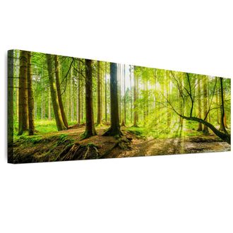 OEM Cuadro Sobre Lienzo Italiano De 120 X 40 Cm - Estilo Ecl&eacute;ctico - Naturaleza Cuadro Sobre Lienzo Italiano De 135 X 45 Cm - Estilo Ecl&eacute;ctico - Naturalez