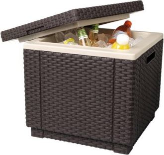 Keter Nevera Marron ice Cube - Ehlis