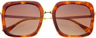 Freyrs Eyewear Lulu Oversized Square Sunglasses in Brown at Nordstrom