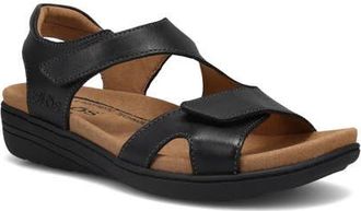 Taos Serene Ankle Strap Sandal in Black at Nordstrom, Size 11