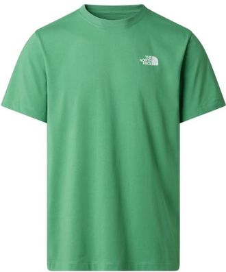 The North Face Evolution Box NSE Regular Short Sleeve T-Shirt f&uuml;r Herren | gr&uuml;n/t&uuml;rkis