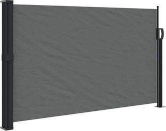 vidaXL Toldo Lateral Retr&aacute;ctil Antracita 117x300 Cm Vidaxl