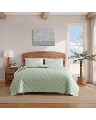 Tommy Bahama Line Palms Blanket