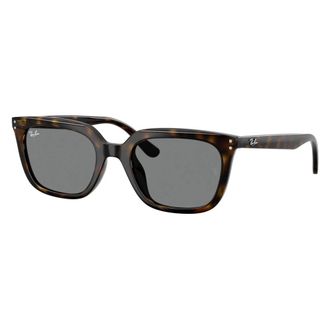 Ray-Ban Rb 4439D Zonnebrillen - unisex - Zonnebrillen - Bruin - 54 MM - Accessoires
