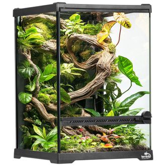 OEM Terrario In Vetro 20x20x30 Cm Con Fondo Impermeabile Per Rettili E Anfibi