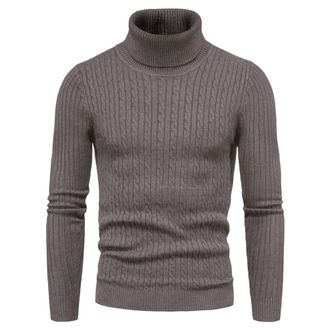 LaoZan Mens Elasticity Turtleneck Sweater Casual Slim Fit Knitted Jumper High Roll Neck Simple Pullover (Coffee, L)
