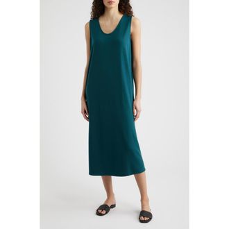 Eileen Fisher Sleeveless Shift Dress in Kelp at Nordstrom, Size X-Large
