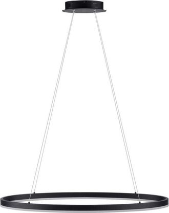 Paul Neuhaus Paul Neuhaus Titus Lámpara de techo colgante antracita 1x 38W LED 3000K regulable