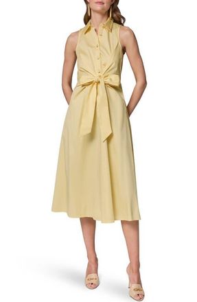 DKNY Sleeveless A-Line Midi Dress in Panna Cott at Nordstrom, Size 14