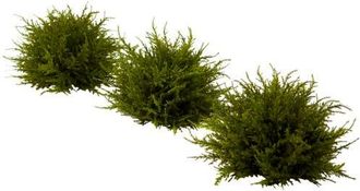 Nearly Natural 7.5-in Cedar Balls in Green at Nordstrom