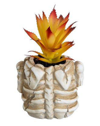 Nearly Natural 7In Artificial Halloween Succulent Plant In Skeleton Planter