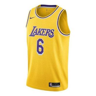 Nike x NBA LA Lakers Jerseys LeBron James 6 CW3669-738