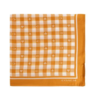 Coach Accessoires, Dames, Oranje, ONE Size, Satijn, Zijden Sjaal
