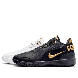 Nike Zoom LeBron NXXT Gen AMPD Equity FJ1566-103