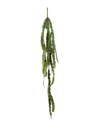 A&B Home Discontinued A&B Home Faux Sweeping Cactus Stem