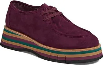 Django & Juliette Gnota Lace in Burgundy Multi Wr Suede at Nordstrom, Size 41