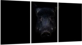 OEM Placa Protectora De Vidrio Para Estufa 3x30x52