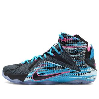 Nike LeBron 12 23 Chromosomes 684593-006